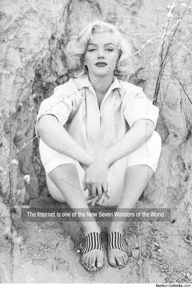 Facts are Best Served with Hot Girls