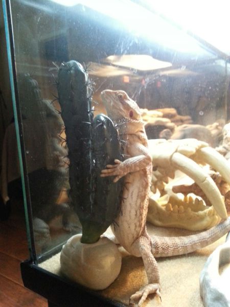 morning picdump 52 pics 13.html - 52 HD Photos | Premium Gallery 2013