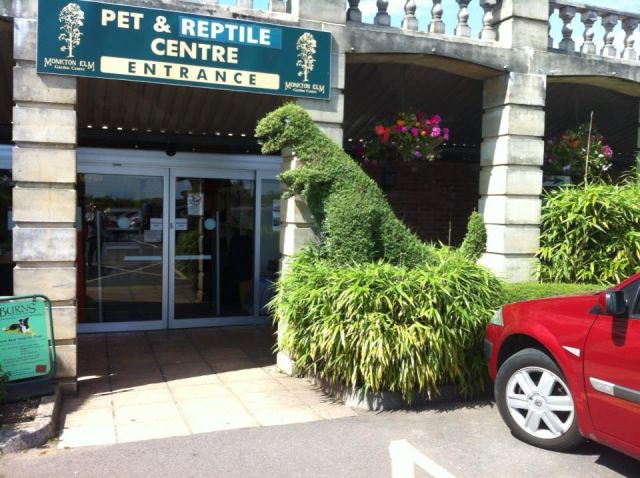 morning picdump 54 pics 3.html - 54 HD Photos | Premium Gallery 2013
