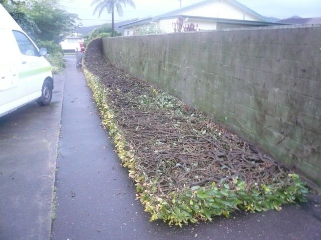 morning picdump 54 pics 3.html - 54 HD Photos | Premium Gallery 2013
