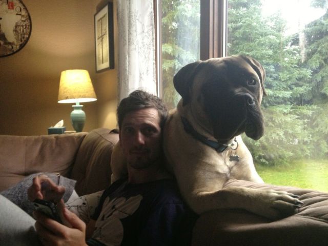 morning picdump 54 pics 3.html - 54 HD Photos | Premium Gallery 2013