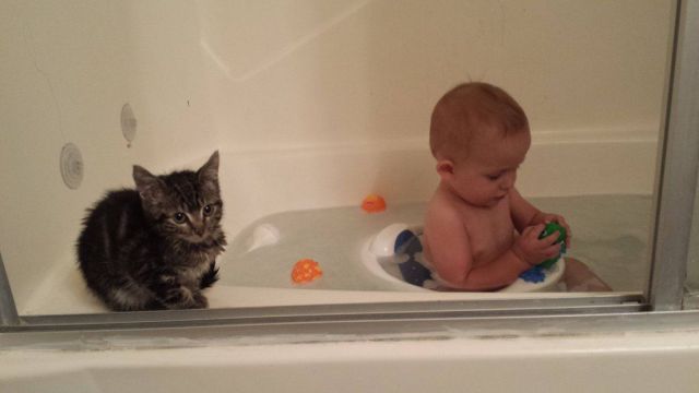Morning Picdump