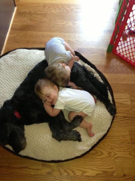 morning picdump 55 pics 19.html - 55 HD Photos | Premium Gallery 2013