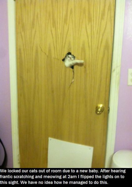 morning picdump 55 pics 19.html - 55 HD Photos | Premium Gallery 2013