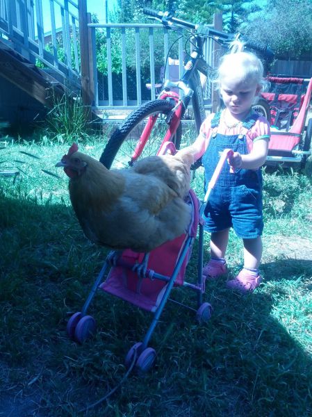 morning picdump 55 pics 19.html - 55 HD Photos | Premium Gallery 2013