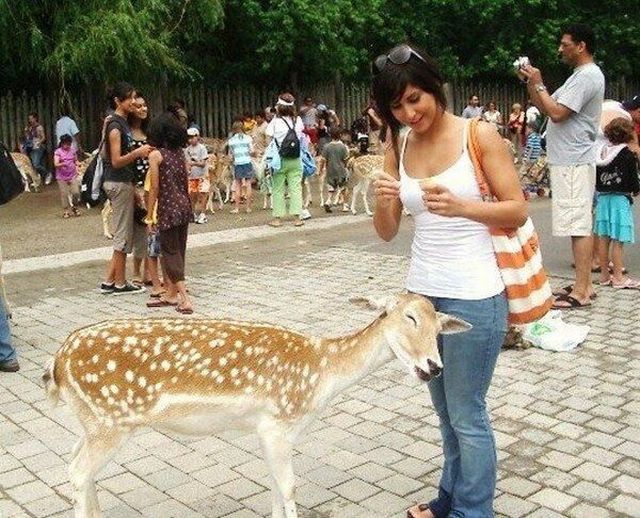 morning picdump 55 pics 19.html - 55 HD Photos | Premium Gallery 2013