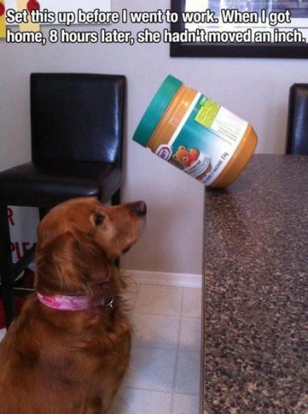 morning picdump 53 pics 9.html - 53 HD Photos | Premium Gallery 2013