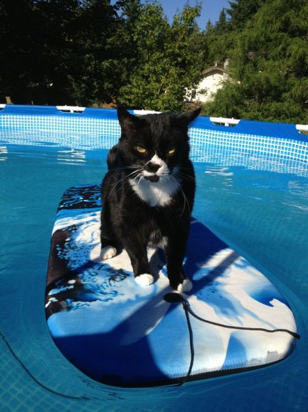 morning picdump 53 pics 21.html - 53 HD Photos | Premium Gallery 2013