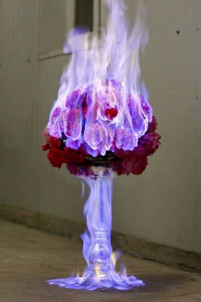 morning picdump 55 pics 23.html - 55 HD Photos | Premium Gallery 2013