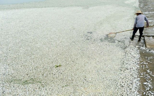 morning picdump 53 pics 17.html - 53 HD Photos | Premium Gallery 2013