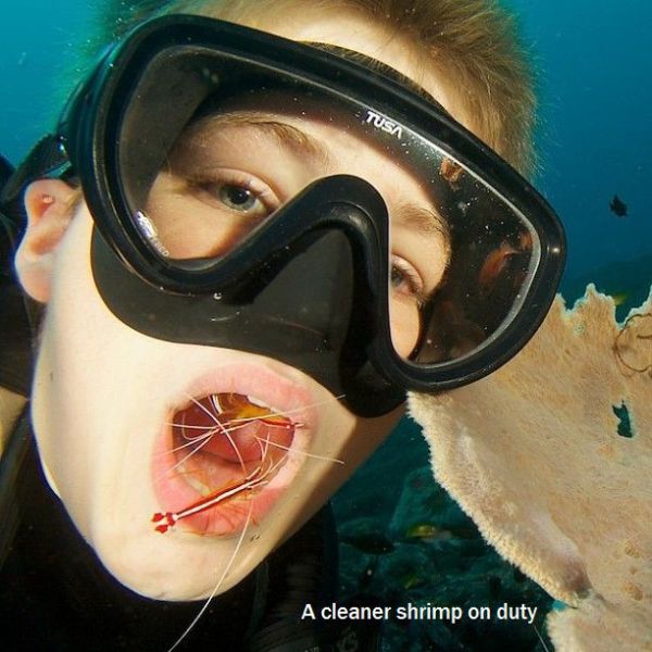 morning picdump 53 pics 7.html - 53 HD Photos | Premium Gallery 2013