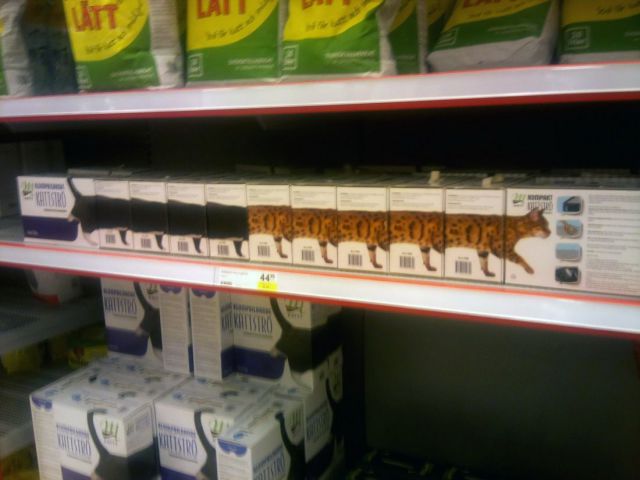 morning picdump 55 pics 21.html - 55 HD Photos | Premium Gallery 2013