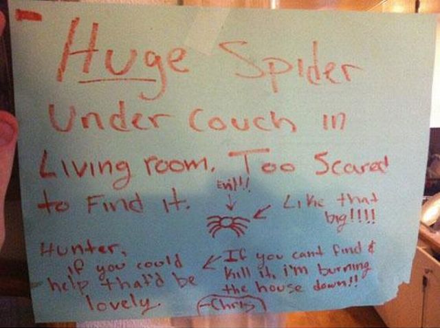 morning picdump 55 pics 21.html - 55 HD Photos | Premium Gallery 2013