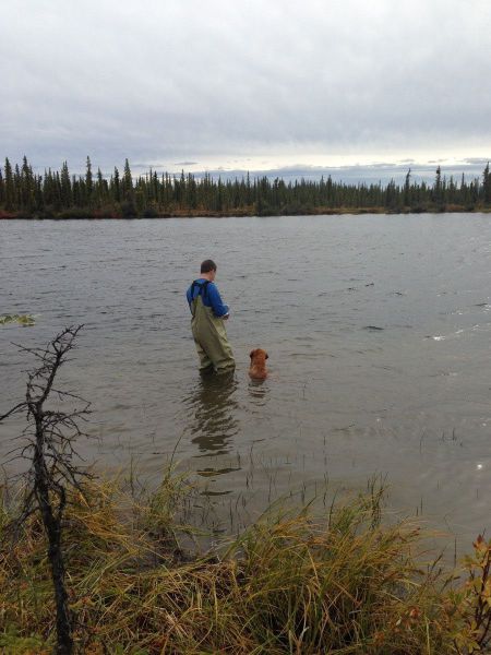 morning picdump 53 pics 11.html - 53 HD Photos | Premium Gallery 2013