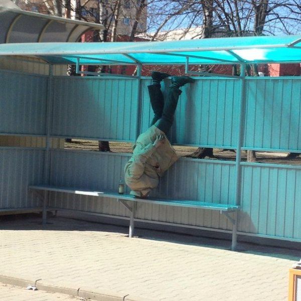 morning picdump 57 pics 2.html - 57 HD Photos | Premium Gallery 2013