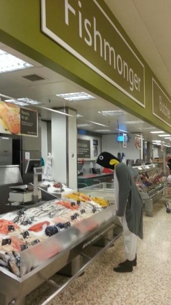 morning picdump 57 pics 2.html - 57 HD Photos | Premium Gallery 2013