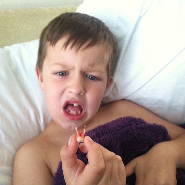 morning picdump 51 pics 7.html - 51 HD Photos | Premium Gallery 2013