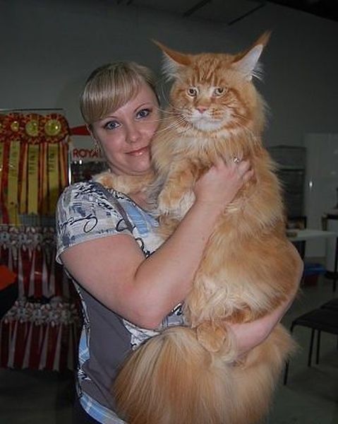 Morning Picdump