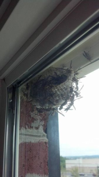 morning picdump 55 pics 9.html - 55 HD Photos | Premium Gallery 2013