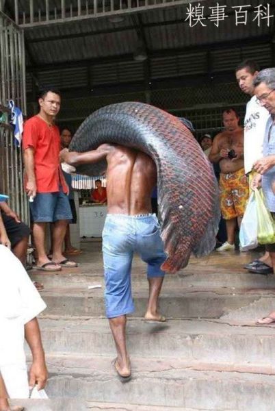 morning picdump 55 pics 9.html - 55 HD Photos | Premium Gallery 2013
