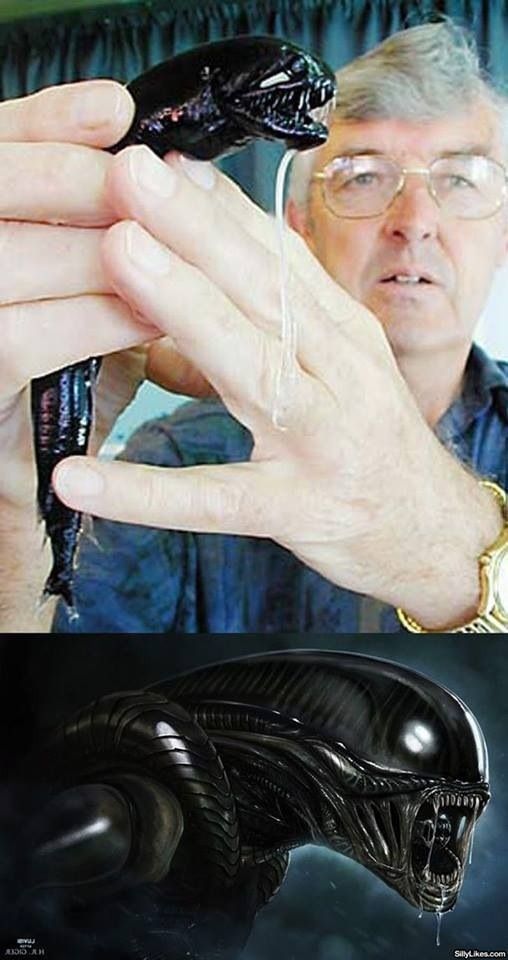 Morning Picdump