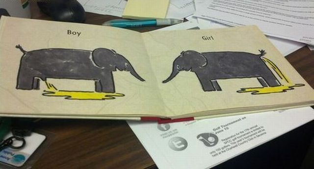 Morning Picdump