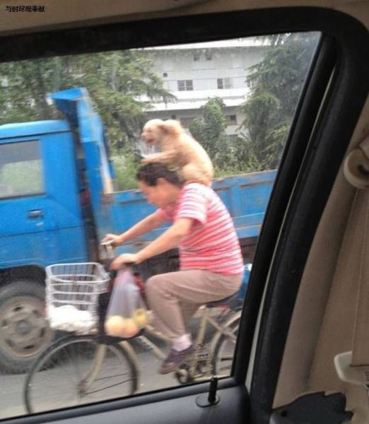 morning picdump 51 pics 22.html - 51 HD Photos | Premium Gallery 2013