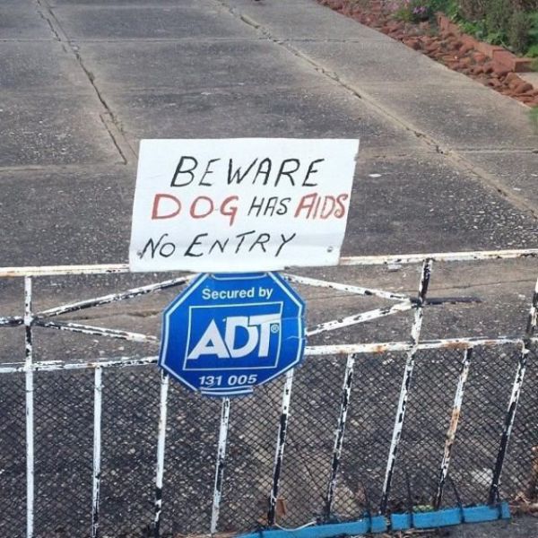 morning picdump 51 pics 22.html - 51 HD Photos | Premium Gallery 2013