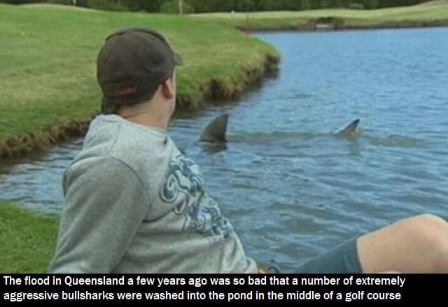 morning picdump 51 pics 9.html - 51 HD Photos | Premium Gallery 2013