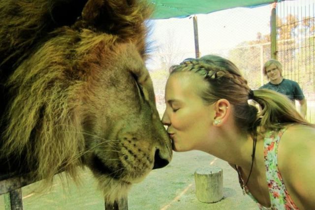 morning picdump 51 pics 9.html - 51 HD Photos | Premium Gallery 2013