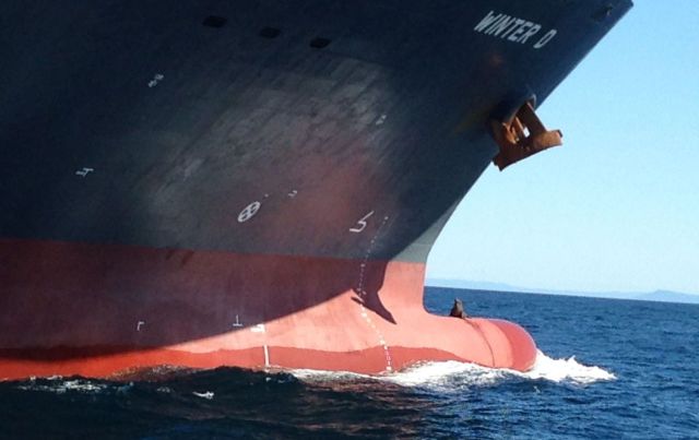 morning picdump 51 pics 9.html - 51 HD Photos | Premium Gallery 2013