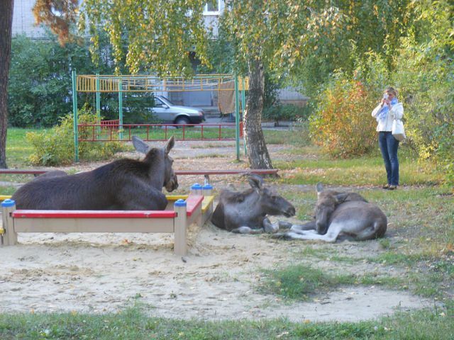Morning Picdump