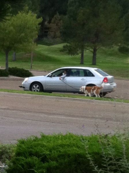 morning picdump 61 pics 2.html - 61 HD Photos | Premium Gallery 2013