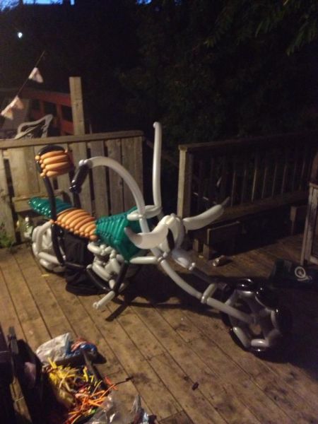 morning picdump 61 pics 2.html - 61 HD Photos | Premium Gallery 2013