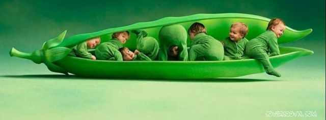 morning picdump 52 pics 6.html - 52 HD Photos | Premium Gallery 2013