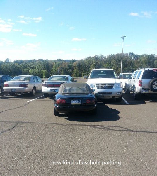 morning picdump 52 pics 6.html - 52 HD Photos | Premium Gallery 2013