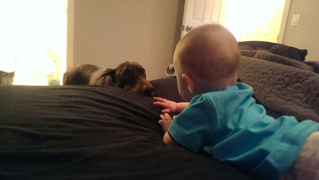 morning picdump 52 pics 6.html - 52 HD Photos | Premium Gallery 2013