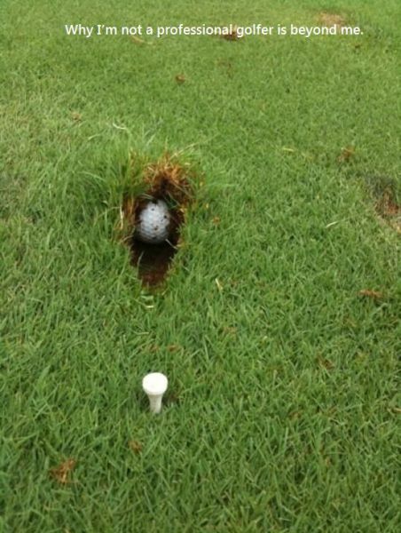 morning picdump 51 pics 15.html - 51 HD Photos | Premium Gallery 2013