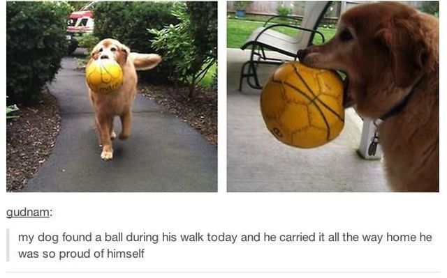 morning picdump 51 pics 15.html - 51 HD Photos | Premium Gallery 2013