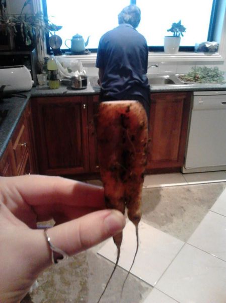 morning picdump 59 pics 24.html - 59 HD Photos | Premium Gallery 2013