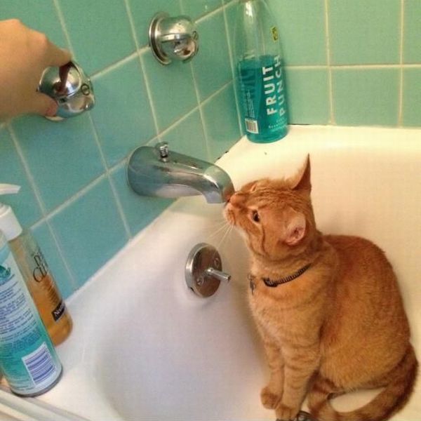 morning picdump 59 pics 24.html - 59 HD Photos | Premium Gallery 2013