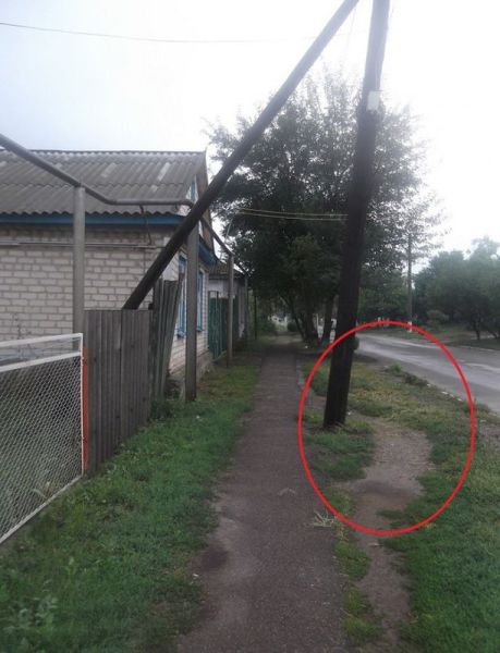 morning picdump 59 pics 24.html - 59 HD Photos | Premium Gallery 2013