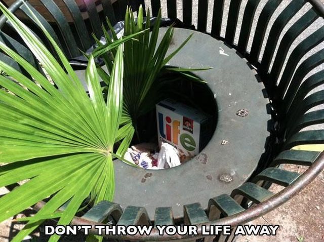 morning picdump 59 pics 24.html - 59 HD Photos | Premium Gallery 2013