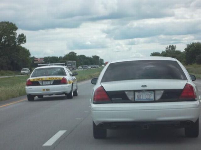 morning picdump 57 pics 20.html - 57 HD Photos | Premium Gallery 2013