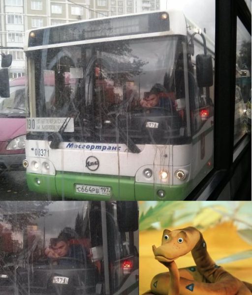 morning picdump 57 pics 20.html - 57 HD Photos | Premium Gallery 2013