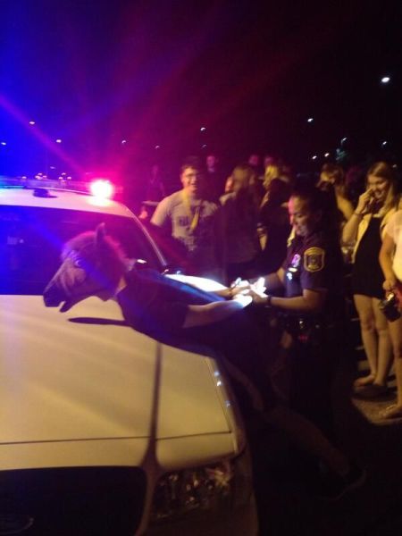 morning picdump 57 pics 20.html - 57 HD Photos | Premium Gallery 2013