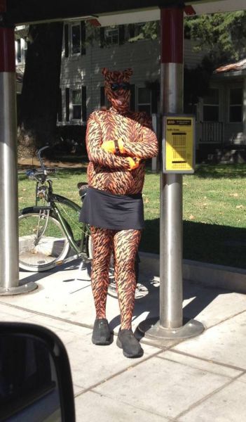 Morning Picdump