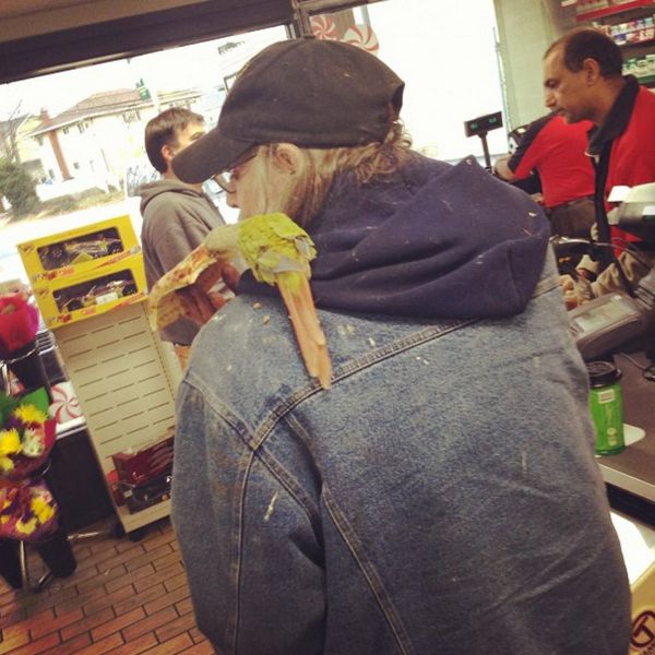 Morning Picdump