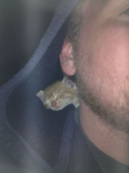morning picdump 55 pics 7.html - 55 HD Photos | Premium Gallery 2013