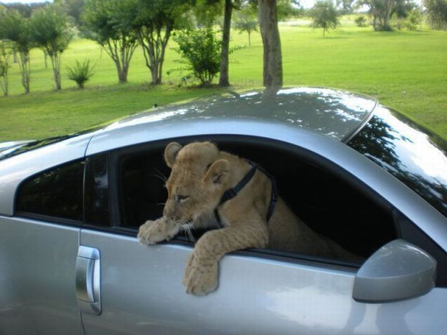 Morning Picdump